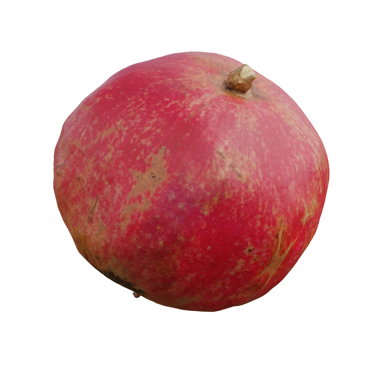 3d scanned pomegranate fruit model
