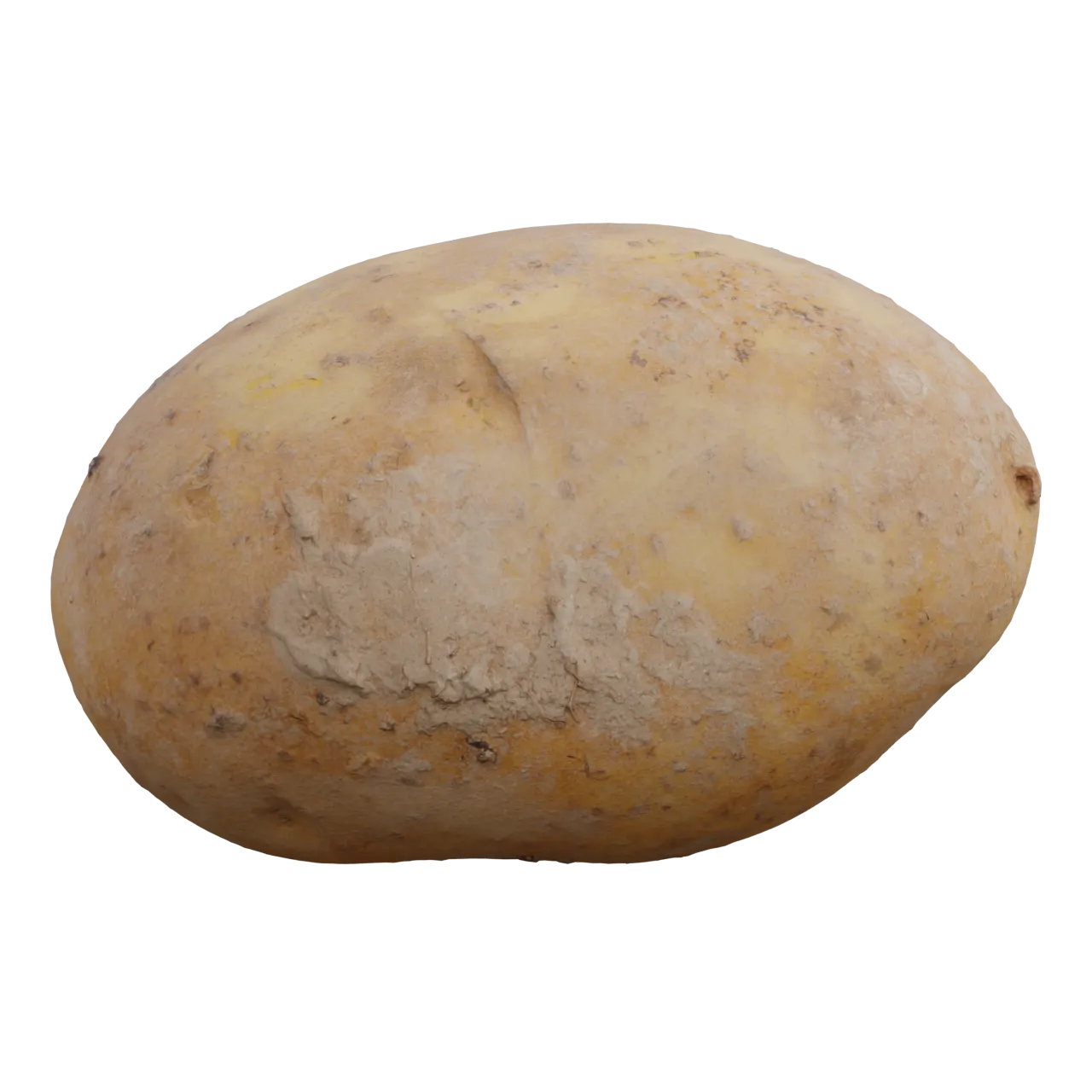 3d scanned potato model